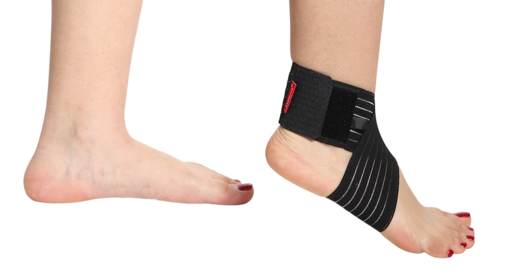 SEKİZ BANDAJLI MİSİNALI 